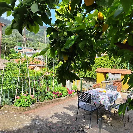 Sophie * Monterosso al Mare