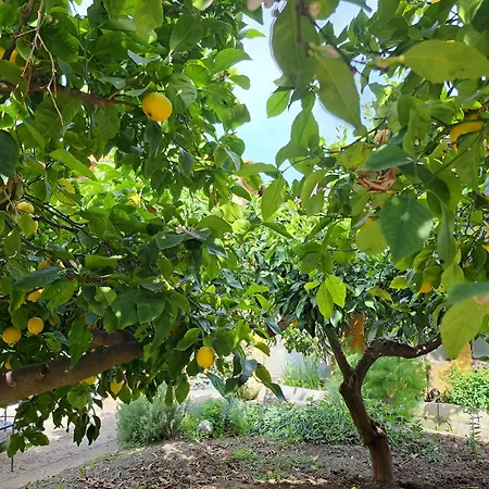 Sophie Apartamento *